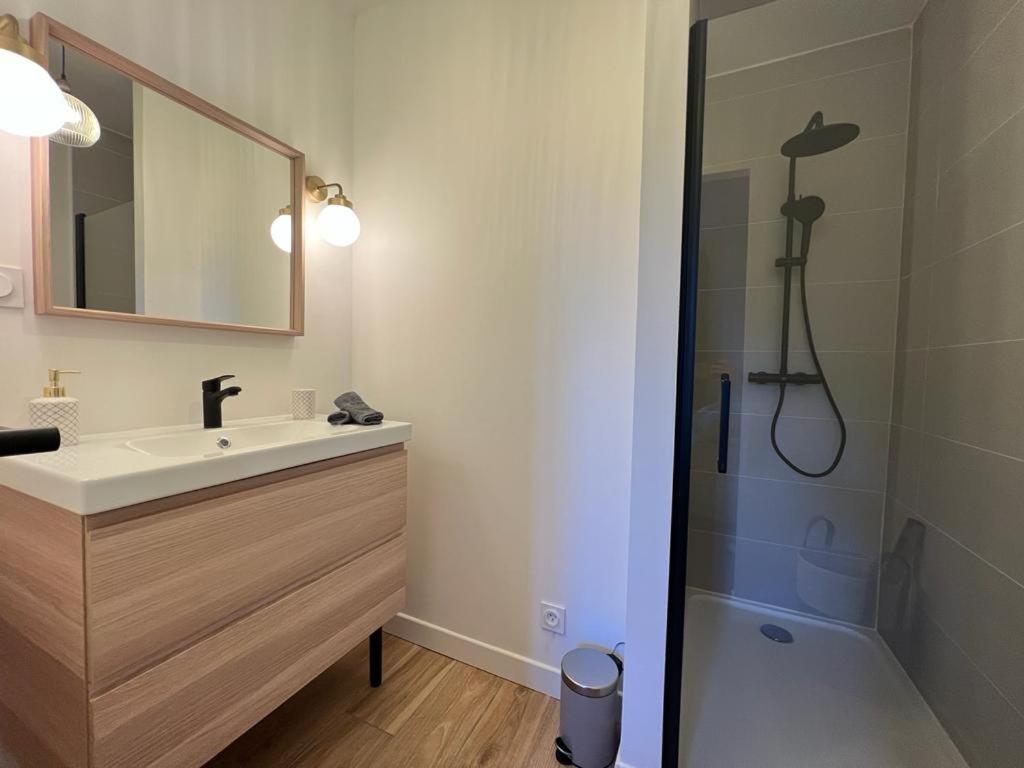 Appartement Coup De Coeur. St Etienne-Rochetaillee Saint-Etienne  Eksteriør bilde