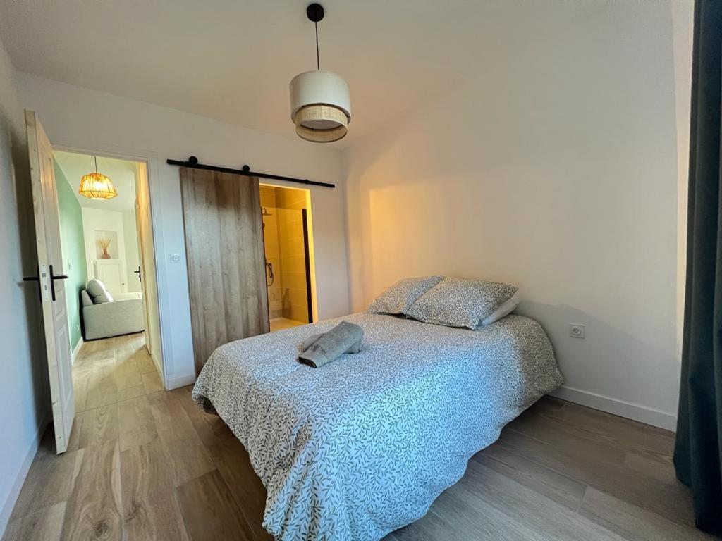 Appartement Coup De Coeur. St Etienne-Rochetaillee Saint-Etienne  Eksteriør bilde
